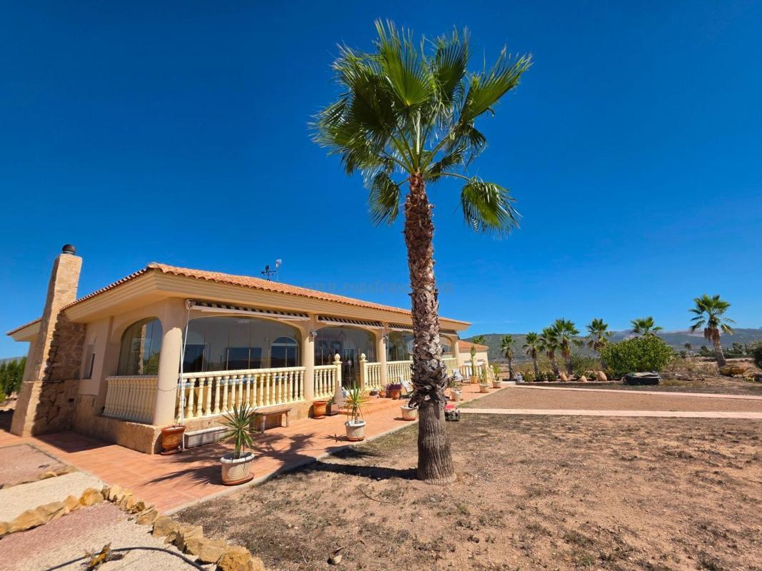 Venta de casas en Pinoso