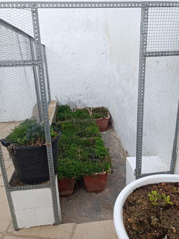 Venta de villa en Pinoso