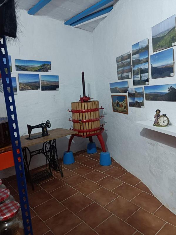Venta de villa en Pinoso