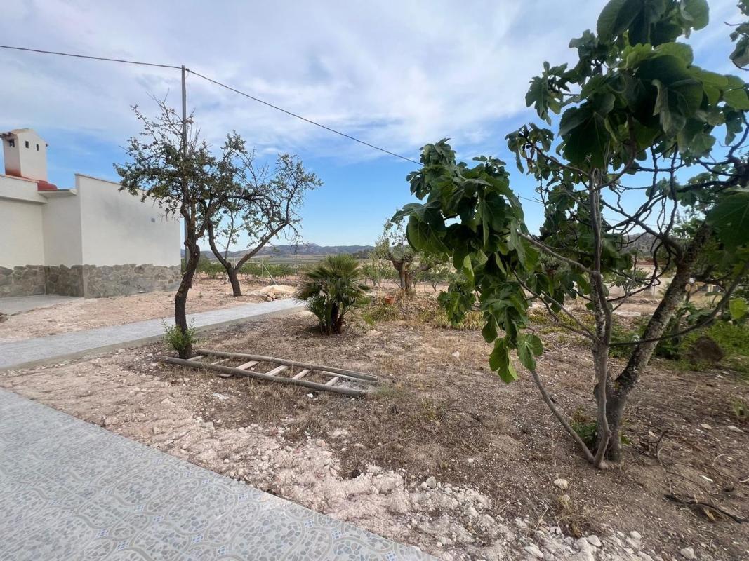 Venta de casas en Algueña