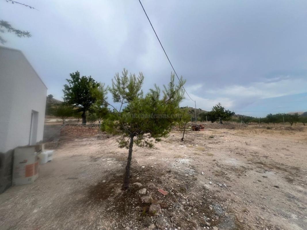 Venta de casas en Algueña
