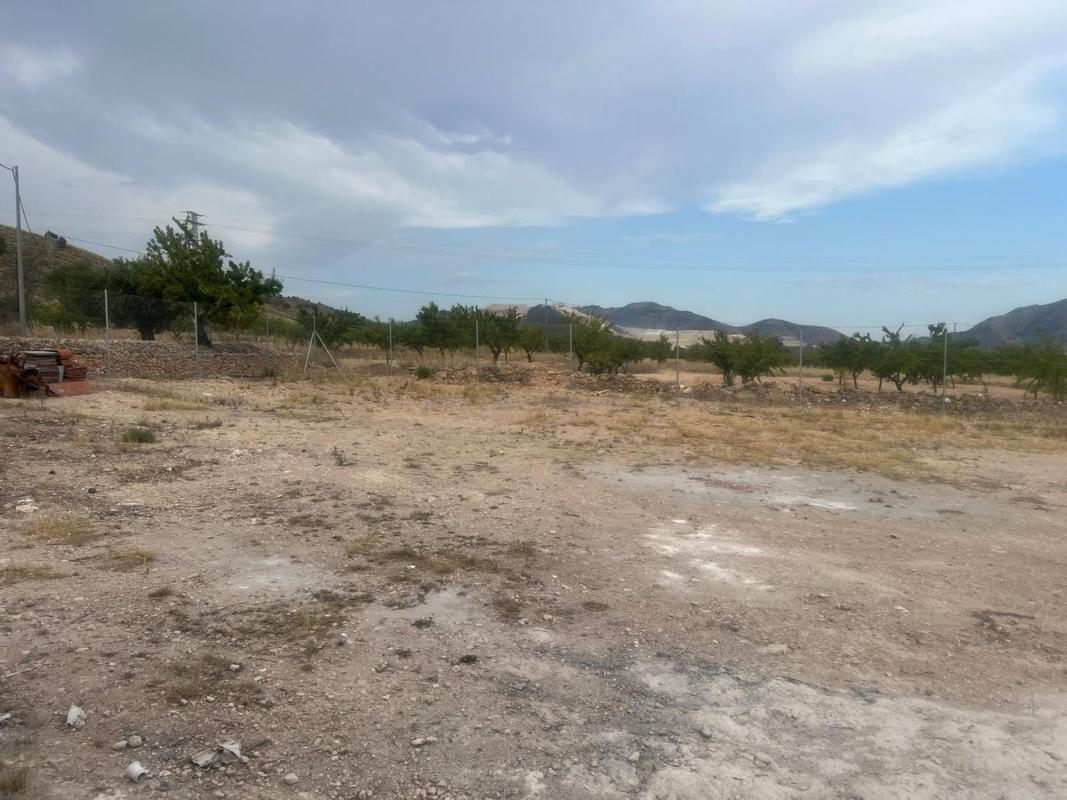 Venta de casas en Algueña