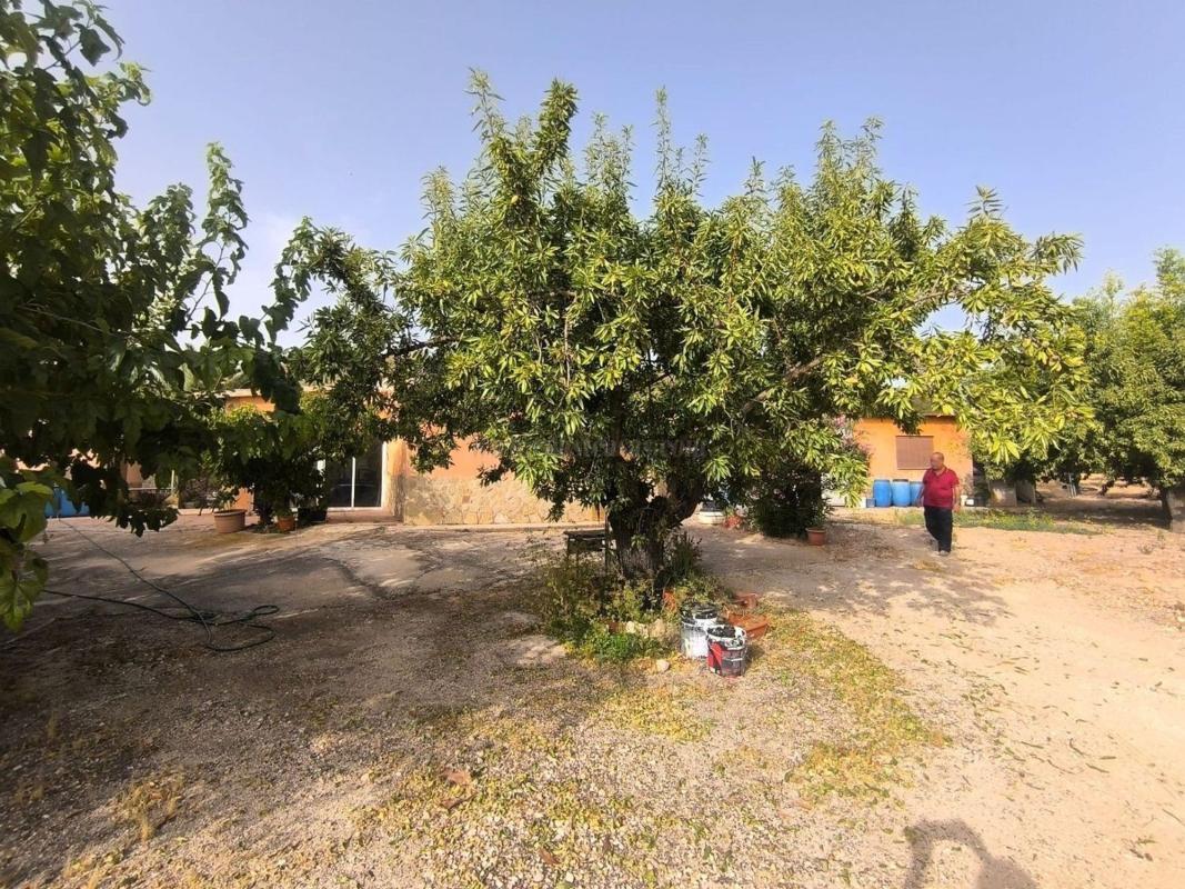 Venta de casas en Pinoso