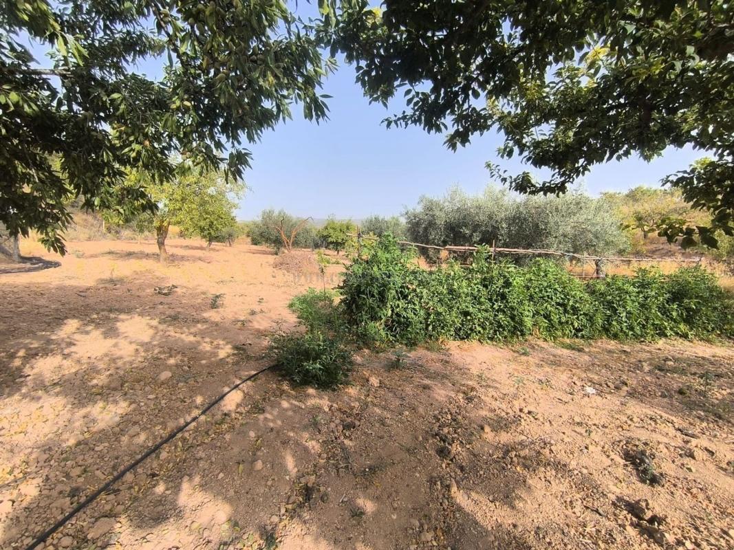 Venta de casas en Pinoso