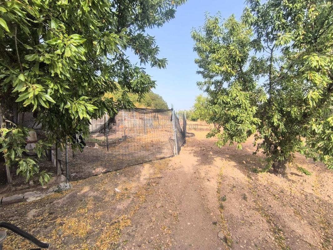 Venta de casas en Pinoso
