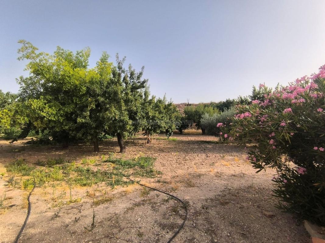 Venta de casas en Pinoso