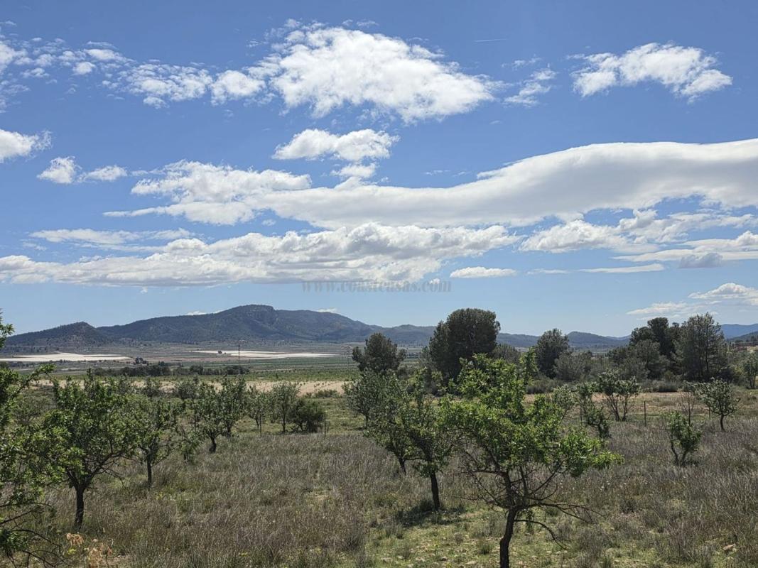 Venta de villa en Monovar