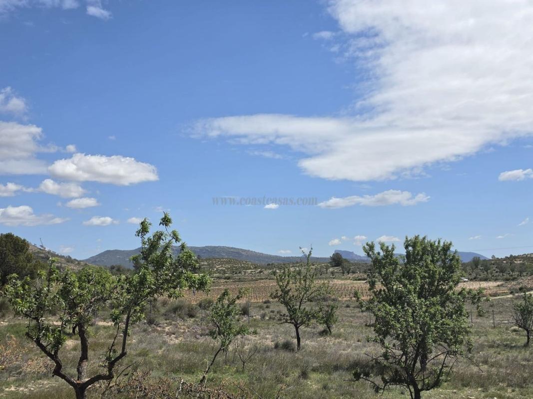 Venta de villa en Monovar