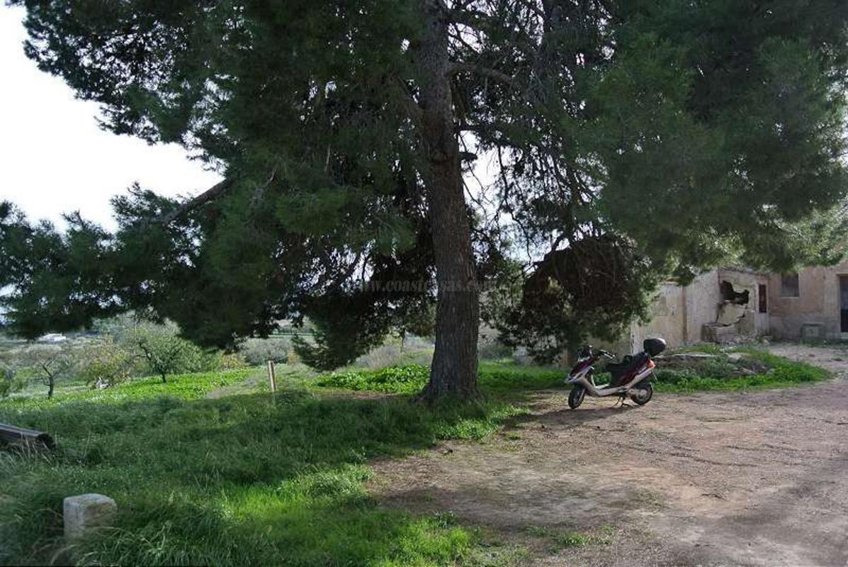 Venta de  en Monovar