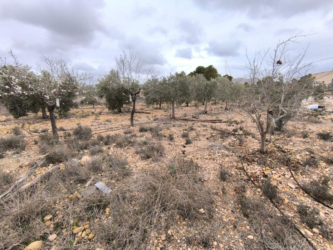 Venta de  en La Romana