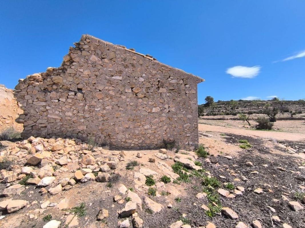 Venta de  en Pinoso