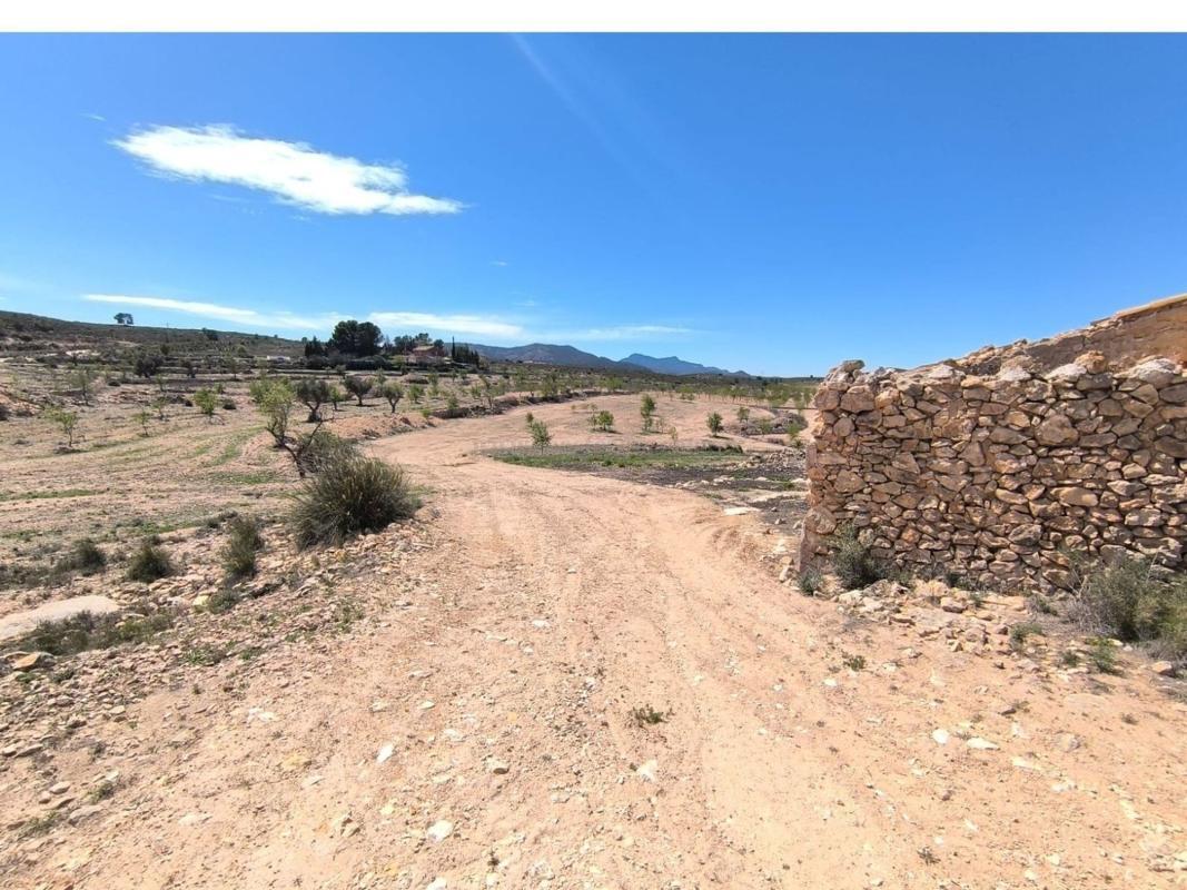 Venta de  en Pinoso