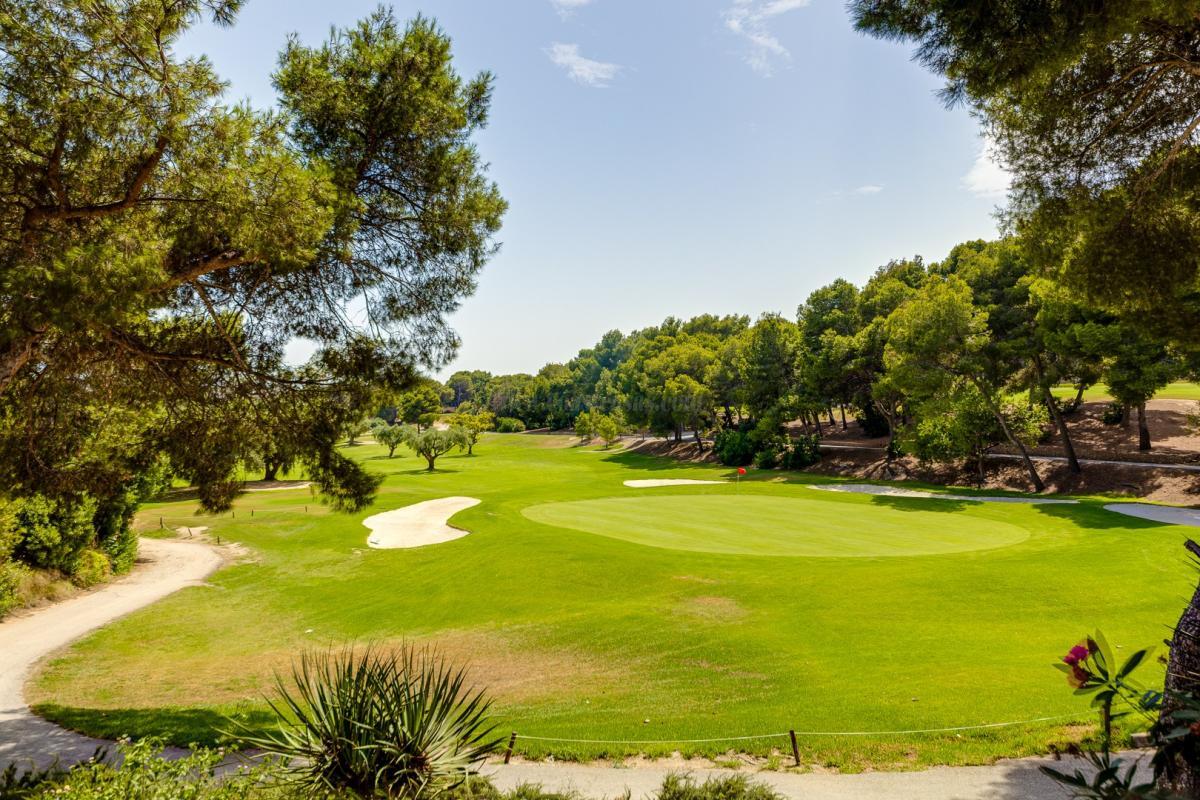 Venta de  en Orihuela