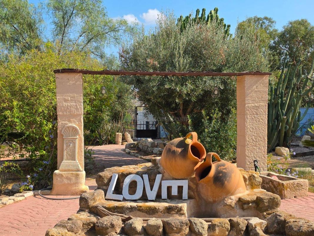 Venta de casas en Elche-Elx