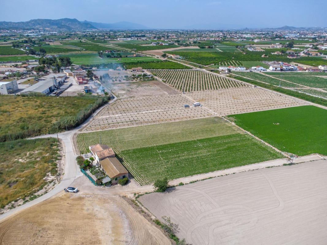 Venta de  en Orihuela