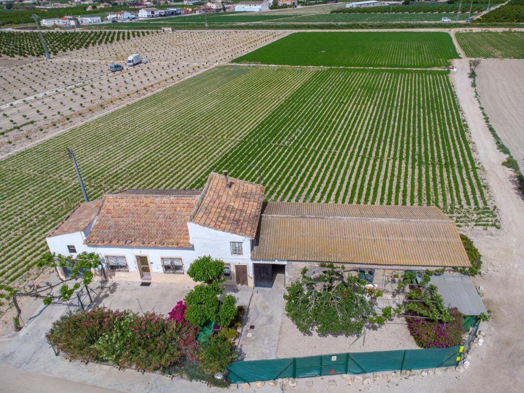 Venta de  en Orihuela