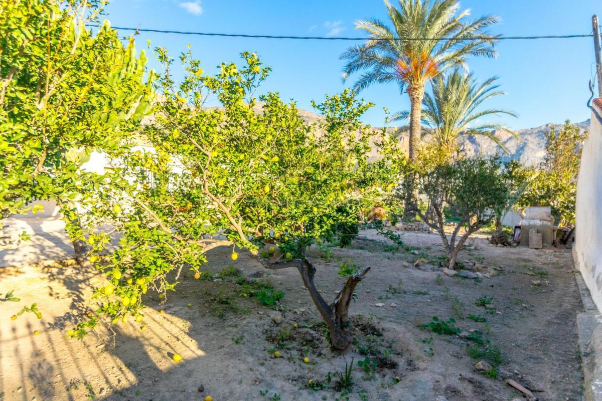 Venta de  en Orihuela