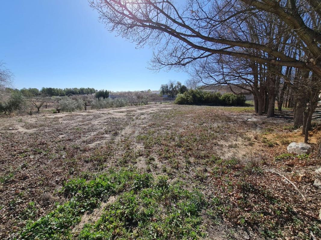 Venta de villa en Pinoso