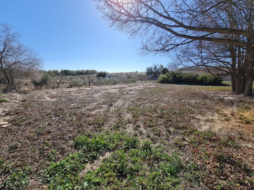 Venta de villa en Pinoso