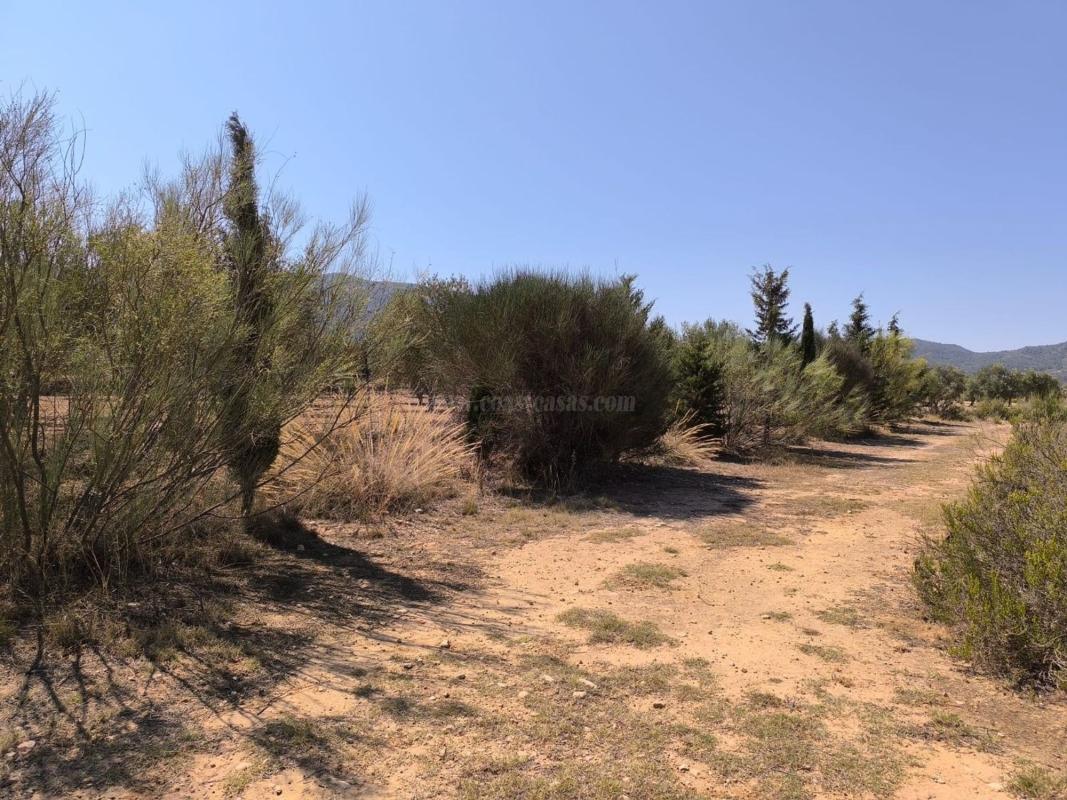 Venta de  en Villena