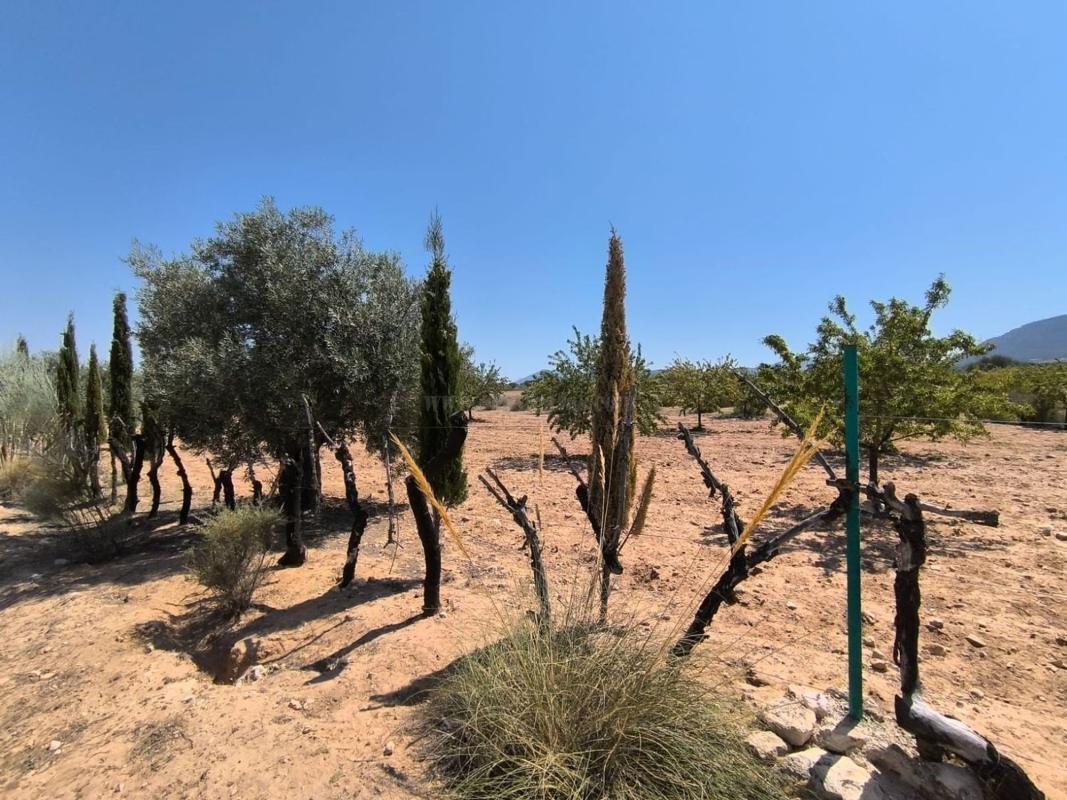 Venta de  en Villena