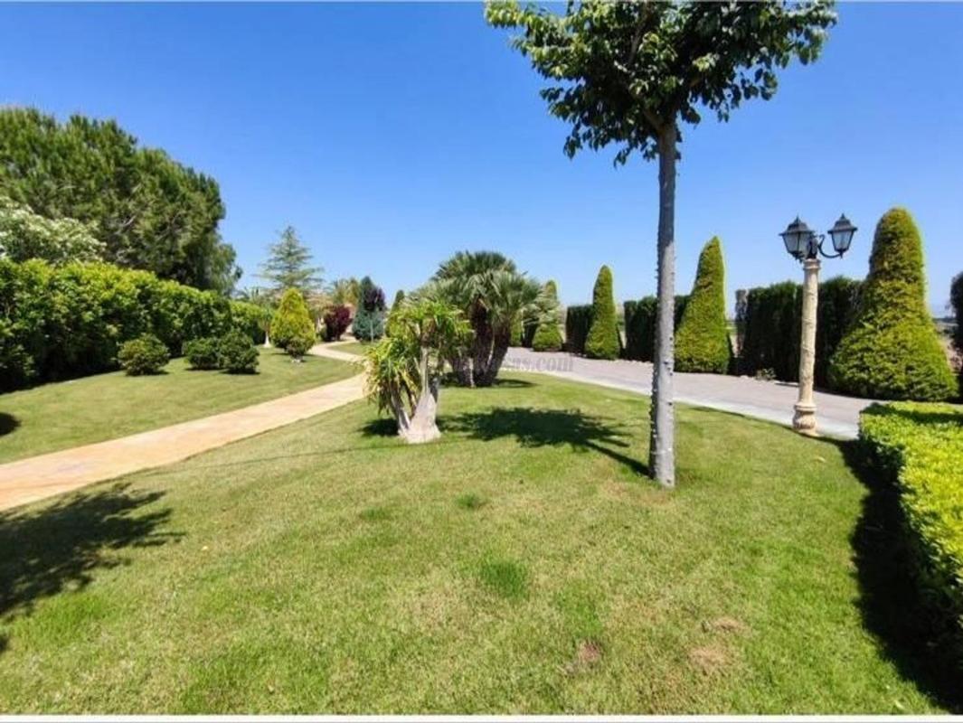 Venta de casas en Aspe