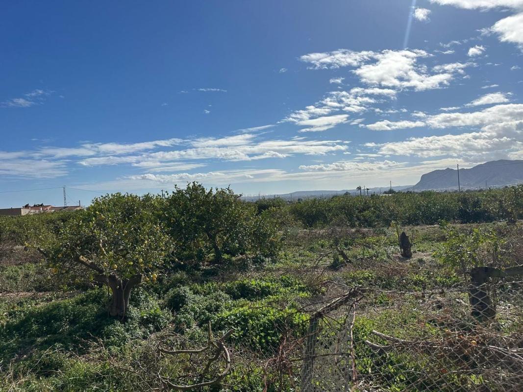 Venta de casas en Albatera