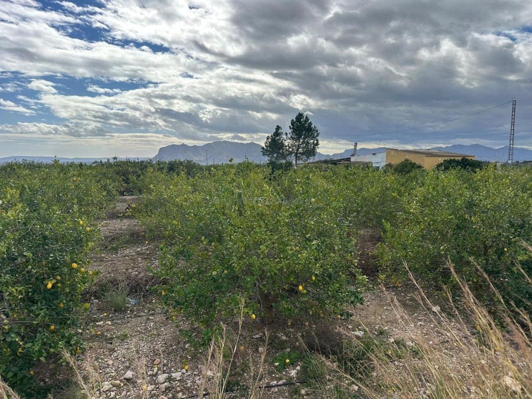 Venta de casas en Albatera