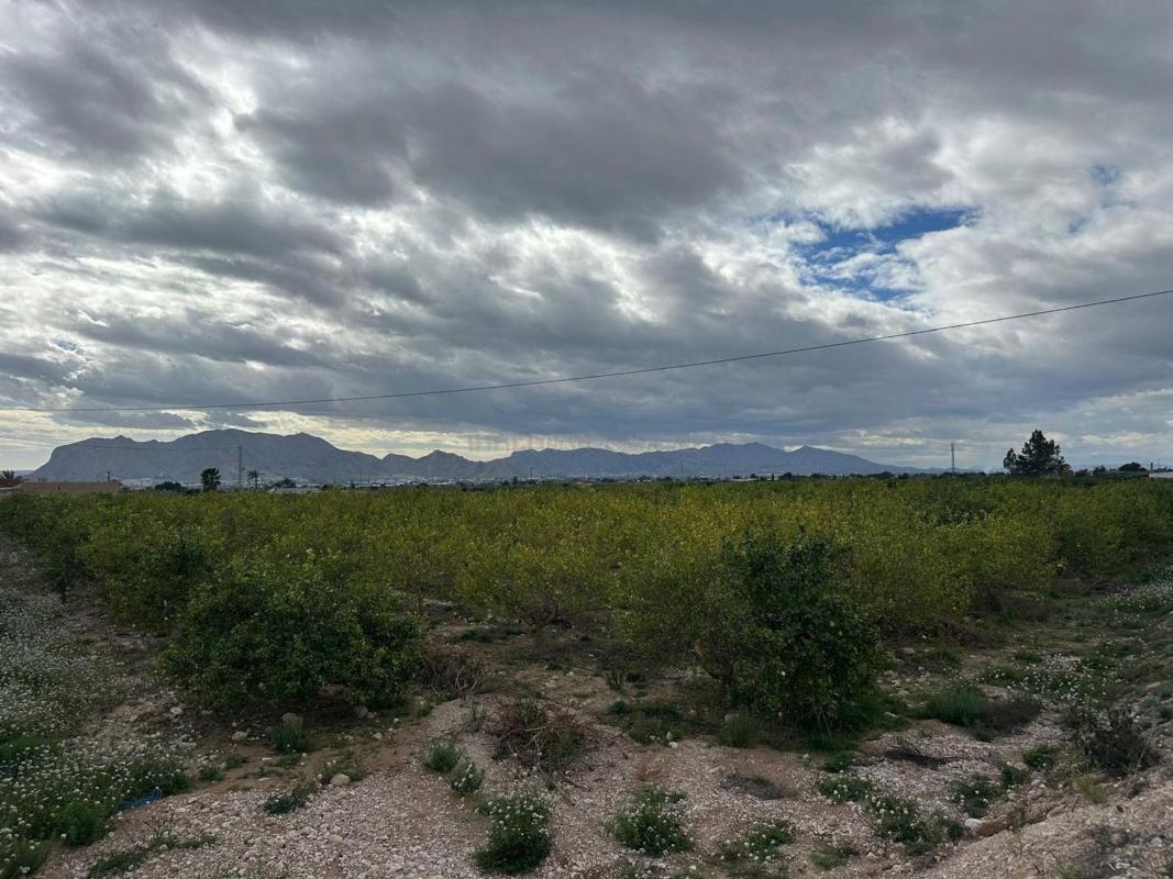 Venta de casas en Albatera