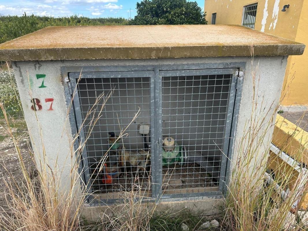 Venta de casas en Albatera