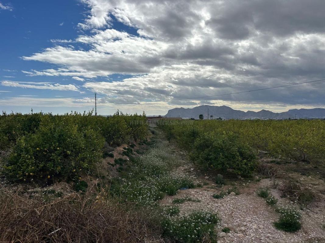 Venta de casas en Albatera