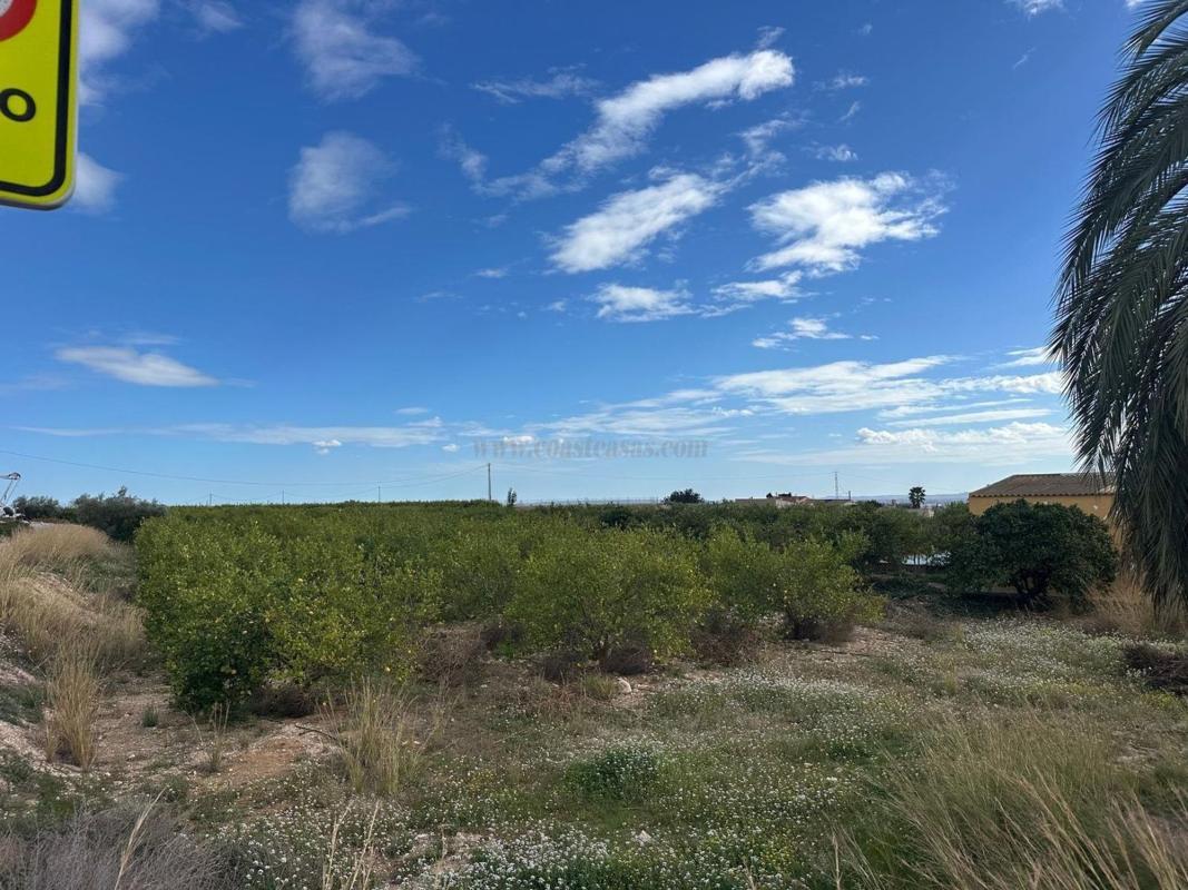 Venta de casas en Albatera