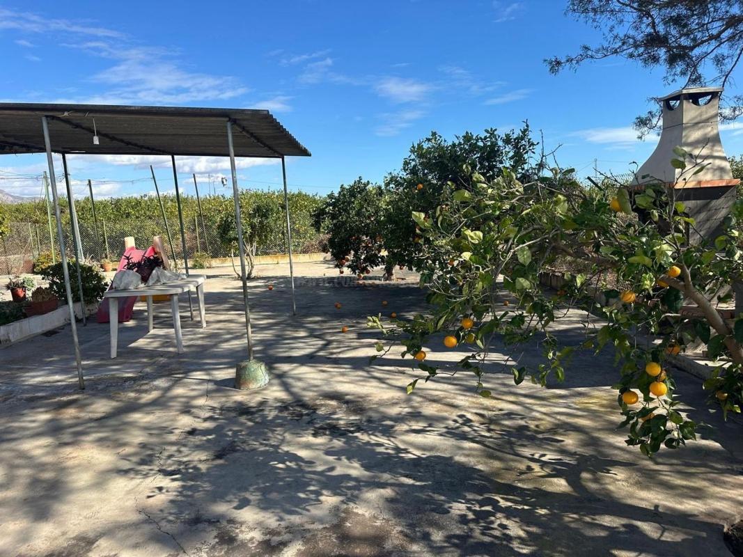 Venta de casas en Albatera