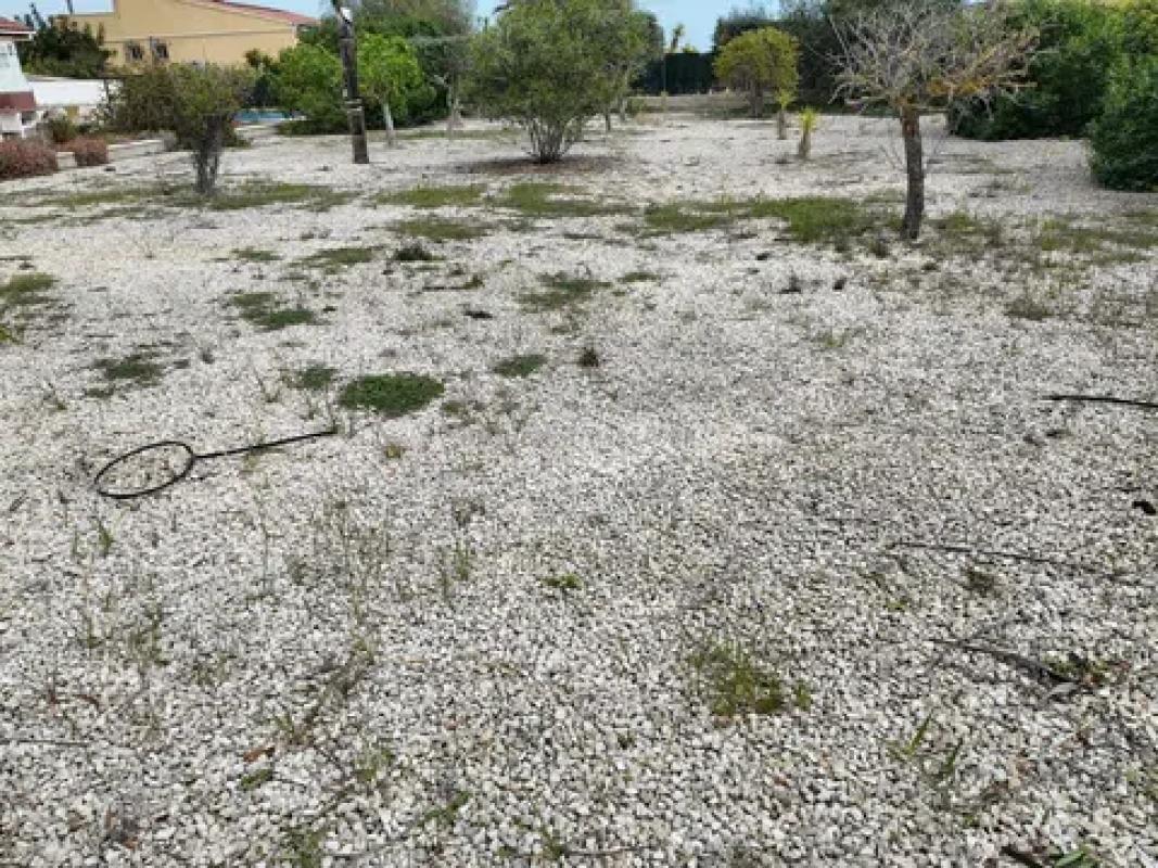 Venta de villa en Elche-Elx