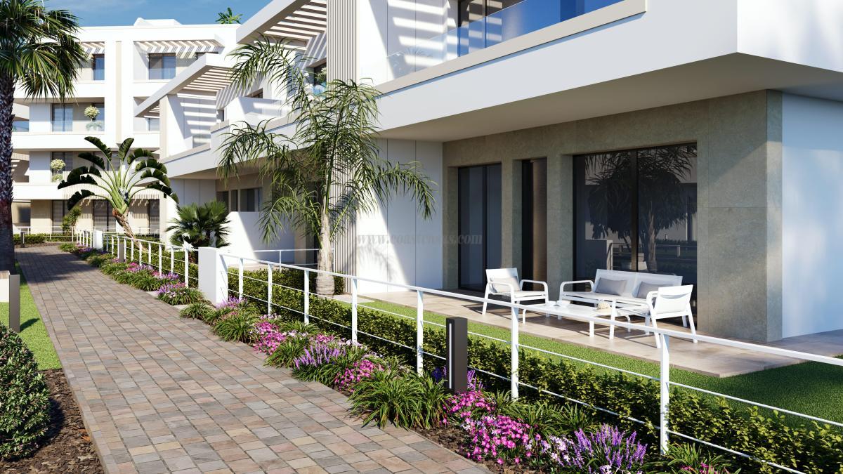 Venta de  en Torre-Pacheco