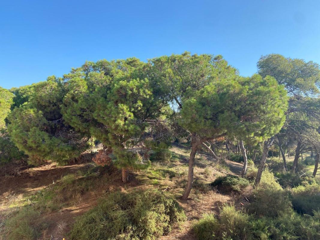 Venta de apartamento en Guardamar del Segura