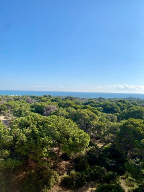 Venta de apartamento en Guardamar del Segura