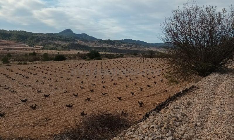 Venta de terreno en Abanilla
