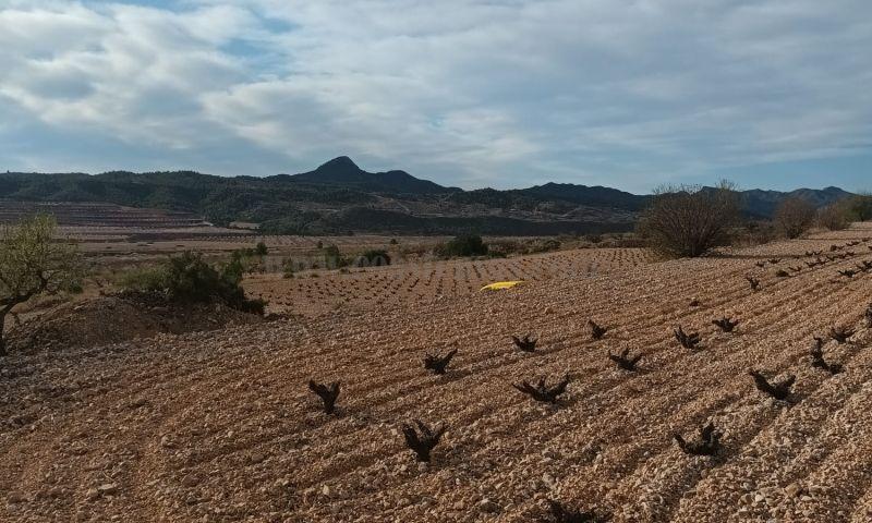 Venta de terreno en Abanilla