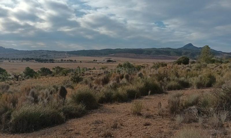 For sale of land in Murcia