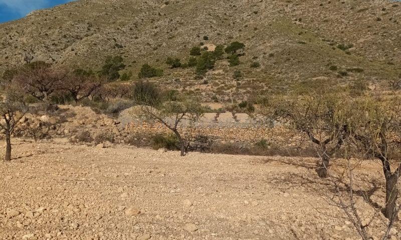 For sale of land in Murcia