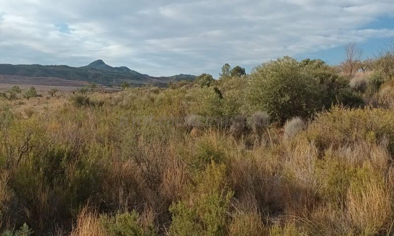 Venta de terreno en Murcia