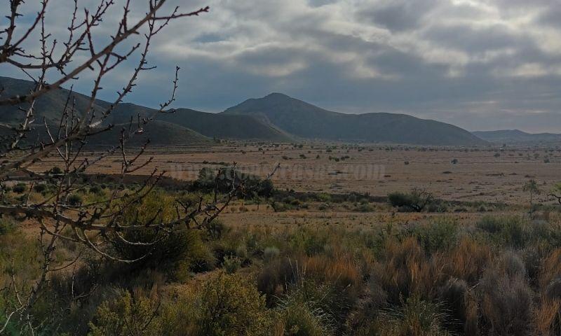 For sale of land in Murcia