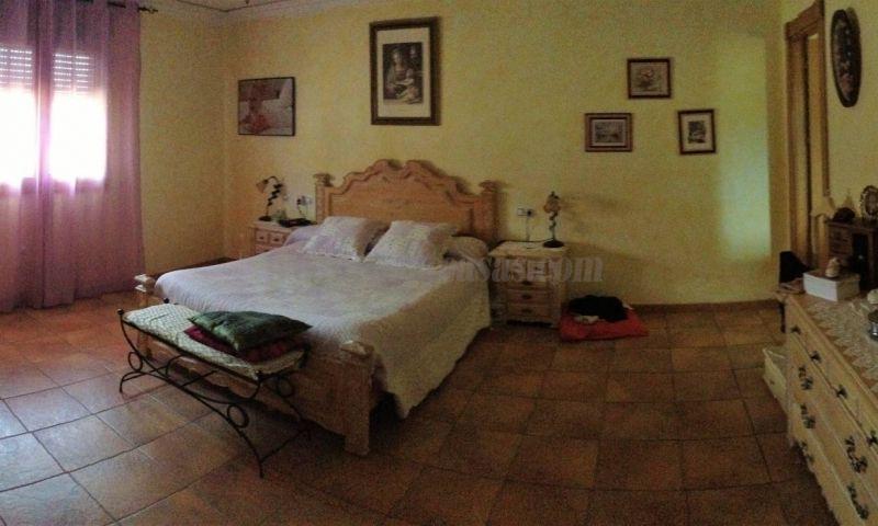 For sale of rural property in Hondón De Las Nieves