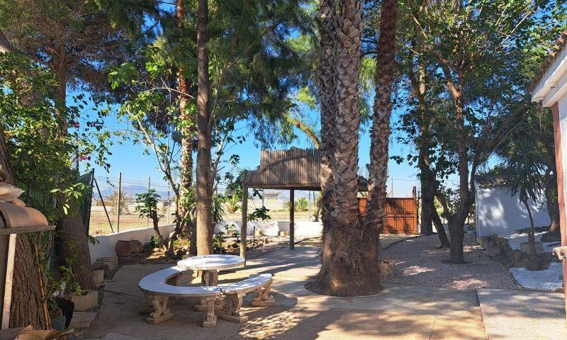 For sale of rural property in Orihuela