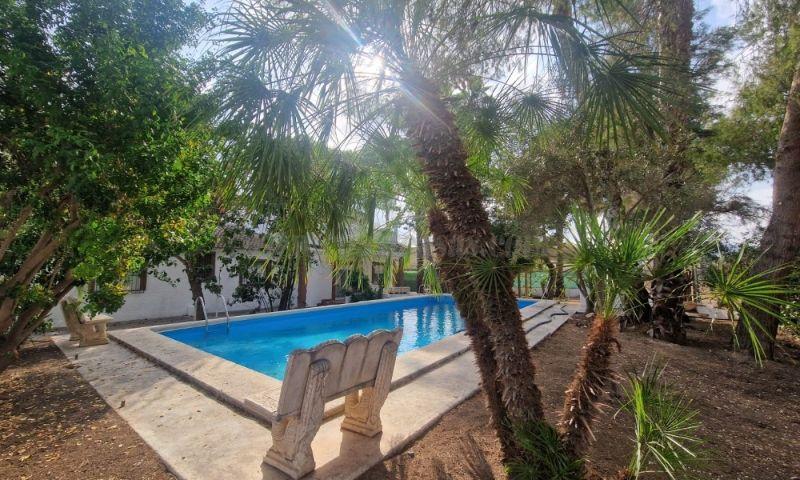 For sale of rural property in Orihuela