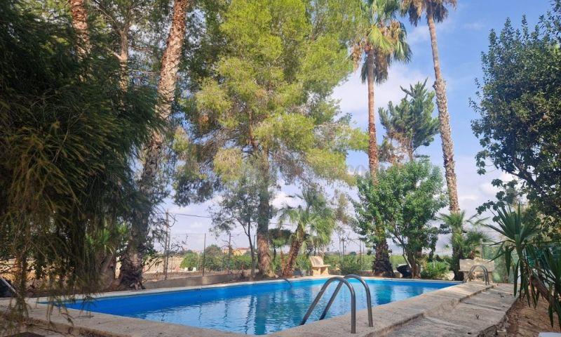 Venta de finca rústica en Orihuela