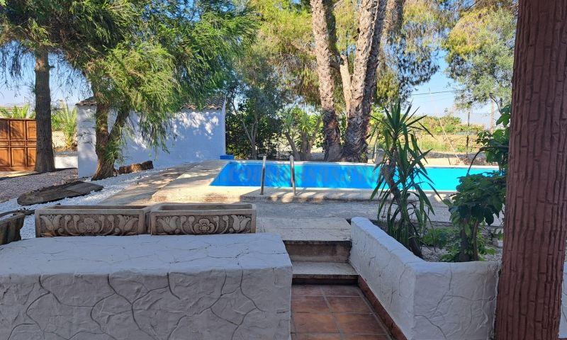 Venta de finca rústica en Orihuela