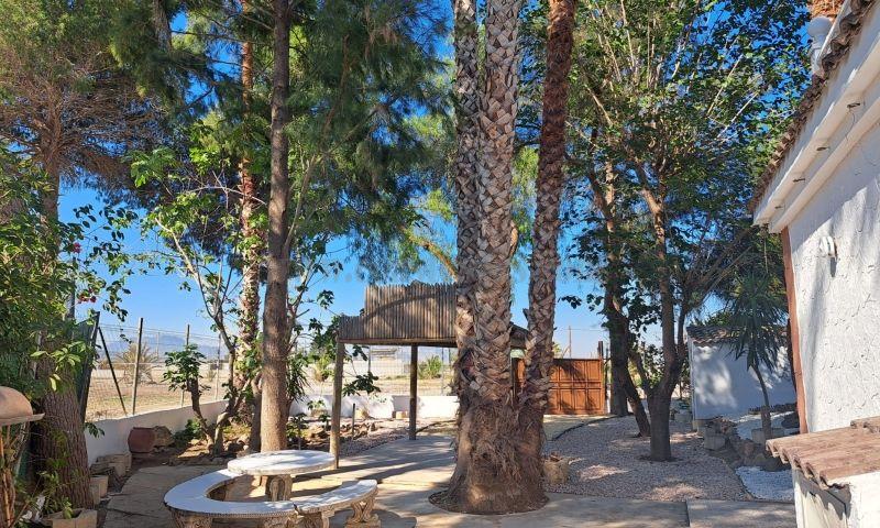 For sale of rural property in Orihuela