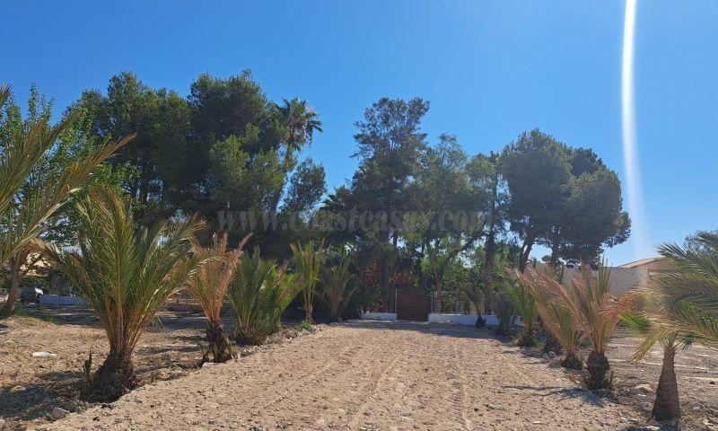 For sale of rural property in Orihuela